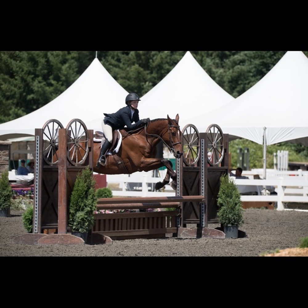 Meet your Posher, Chloe